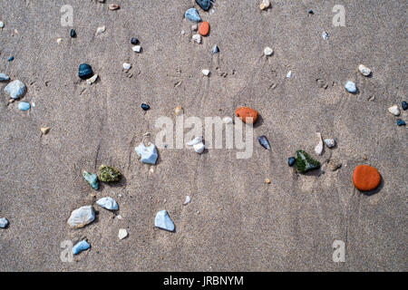 Picture of some rocks and shells on sand during day Stock Photo