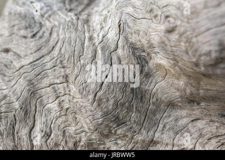 Old weathered wood background. Low DOF Stock Photo