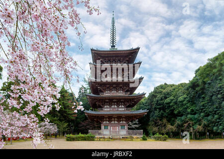 Five Storied Pagoda with Japan cherry blossom in Daigoji Temple in Fushimi Ward, Kyoto City, Japan. Cherry blossom season in Kyoto, Japan Stock Photo