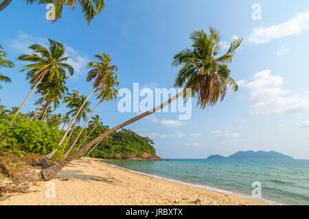 Beautiful tropical beach with palm trees on Koh Chang island in Thailand