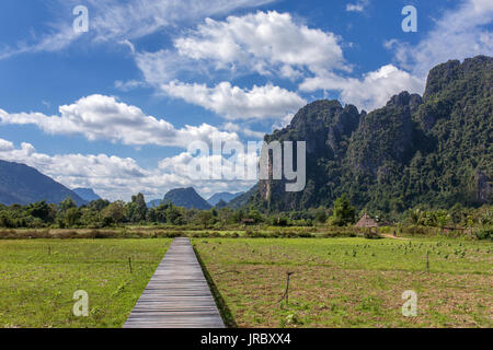 Wood bridge and paddy field rice in Vang Vieng, Laos Stock Photo