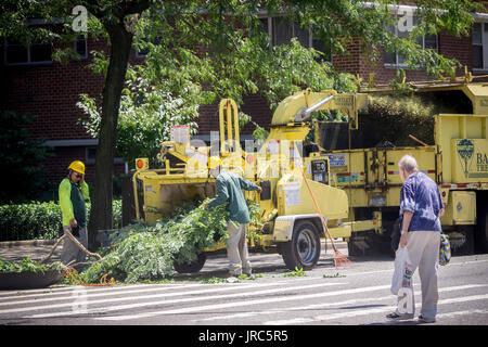 Workers from a tree trimming service feed pruned branches into a wood chipper in the Chelsea neighborhood of New York on Wednesday, July 26, 2017. (© Richard B. Levine) Stock Photo