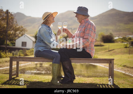 Smiling senior couple toasting glasses of wine while sitting on a bench in lawn Stock Photo