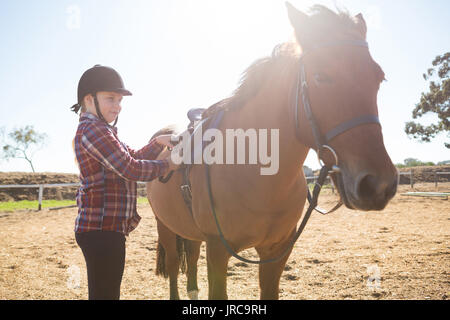 Girl adjusting saddle on horse in ranch on a sunny day Stock Photo