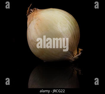 Whole onion on black background reflecting on a glass surface Stock Photo