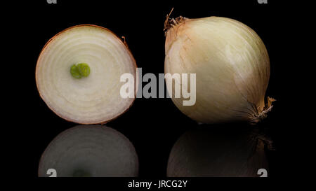 Whole and cut onion on black background reflecting on a glass surface Stock Photo