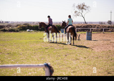 Rear view of female friends horseback riding on field at paddock Stock Photo