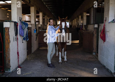 Side view of female vet examining horse at stable Stock Photo