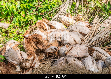 Abstract shot of coconut shells with different brown tones Stock Photo