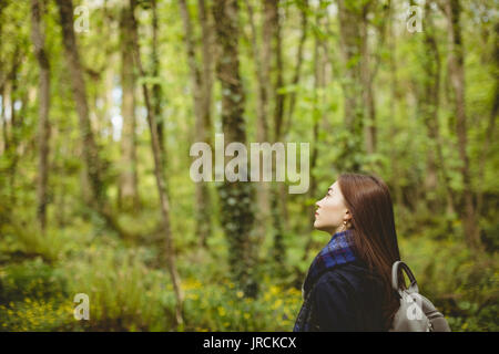 Thoughtful woman standing in forest Stock Photo