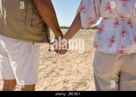 Mid section of couple holding hands while standing on landscape Stock Photo