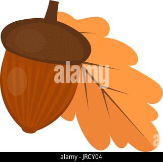 Oak acorn is flat or cartoon style. Isolated on white background. Vector illustration Stock Vector