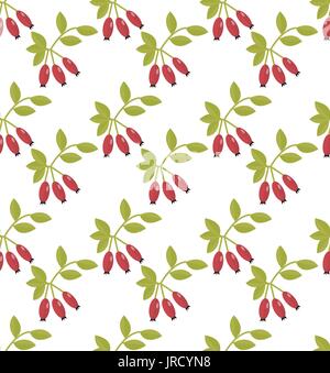 Rosehip seamless pattern. Hawthorn endless background. Red autumn berries repeating texture. Vector illustration Stock Vector
