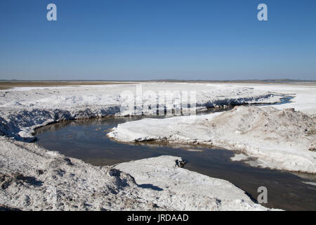 Fields of natural salt deposits in the prairies of Chaplin ...