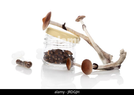 Dried and fresh Magic mushrooms in glass jar, isolated on white background Stock Photo