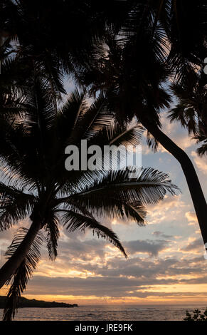 HI00364-00...HAWAI'I -Sunrise at Punalu'u Beach Park on the island of Hawai'i. Stock Photo