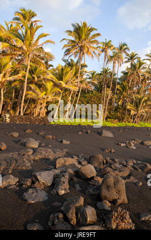 HI00365-00...HAWAI'I -Sunrise at Punalu'u Beach Park on the island of Hawai'i. Stock Photo