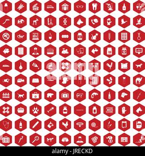 100 veterinary icons hexagon red Stock Vector