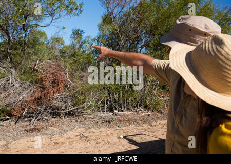 Man with woman pointing at trees while standing on field Stock Photo