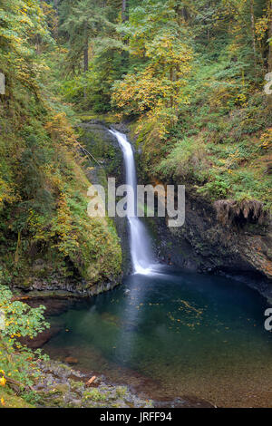 Lower Butte Creek Falls plunging into a blue pool of water in Marion County Oregon in Fall Season Stock Photo