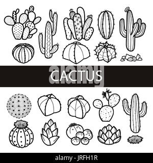 Set of isolated cactus and succulents in black outline. Hand drawn style. Vector illustration. Stock Photo