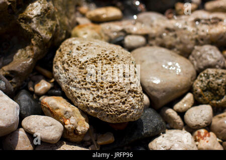 Stones and shell on the beach at the sea Stock Photo