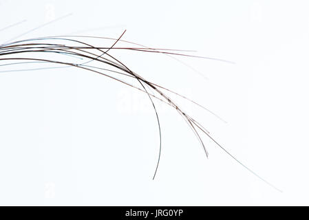 Macro of human dark hair strands isolated on white background Stock Photo