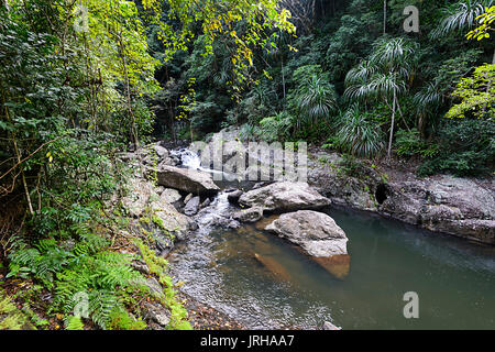 Crystal Cascades, Cairns, Far North Queensland, FNQ, QLD, Australia Stock Photo