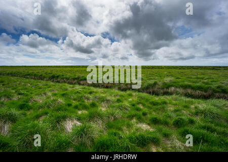 Iceland - Infinite endless green meadows Stock Photo