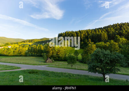 Intersection in the black forest at sunset with blue sky Stock Photo