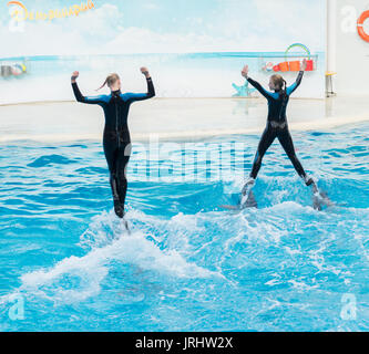 Dolphin show scene Stock Photo