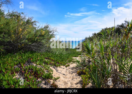 Looking through the sand dunes towards the turquoise Atlantic Ocean in Porto Santo, Portugal Stock Photo