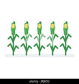 Vector flat style illustration of corn. Icon for web. Isolated on white background. Stock Vector