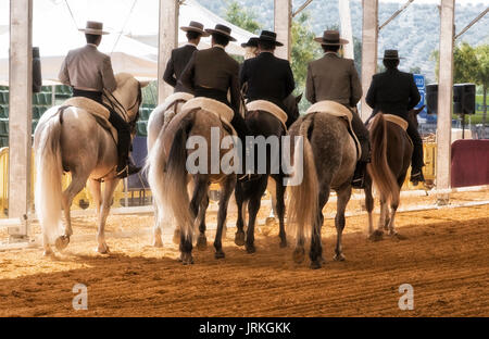 Group of horsemen riding on their backs after dressage exhibition denim in Andujar, Jaen province, Andalucia, Spain Stock Photo