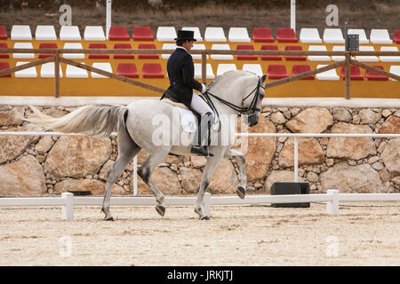 Valdepeñas de Jaen, Jaen province, SPAIN - 10 october 2008: Spanish purebred horse competing in dressage competition classic in La Beata, mounted by S Stock Photo