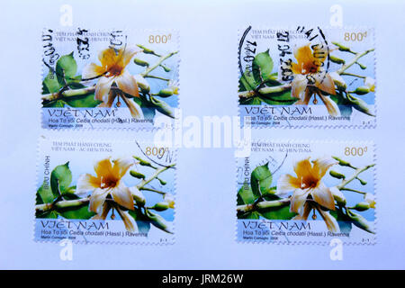 VIETNAM - CIRCA 2008: A stamp printed in Vietnam shows ceiba chodatii flower, circa 2008 Stock Photo