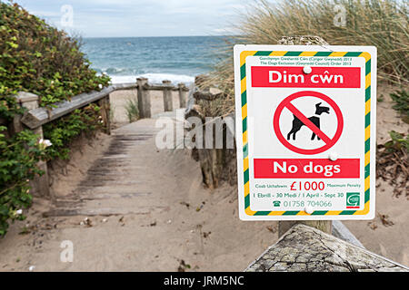 No dogs on beach sign, Pwllheli, Lleyn Peninsula, Wales, UK Stock Photo