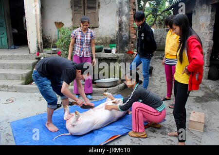 Chinese Woman Killing A Goat - Goat Slaughter time - YouTube / Woman cited after dogs escape and ...