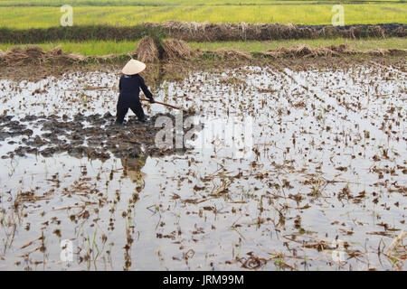 Haiduong, Vietnam, December, 24: woman farmer working in the field with hoe on December, 24, 2014 in Hai Duong, Vietnam. Stock Photo