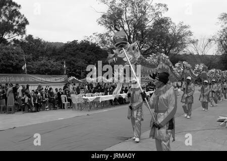 HAI DUONG, VIETNAM, February 14: a group of Asian people dance dragon in folk festivals on February 14, 2014 in Con Son pagoda, Hai Duong, Vietnam. Stock Photo