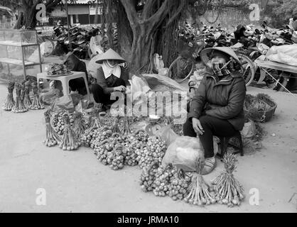 HAI DUONG, VIETNAM, APRIL, 10: Asian woman selling onions in the market on April, 10  in Hai Duong, Vietnam Stock Photo