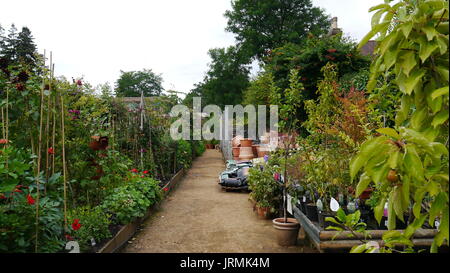 Plants and pots on display at petersham nursery  in surrey Stock Photo