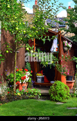 A wooden garden shed in a London back garden England UK Stock Photo