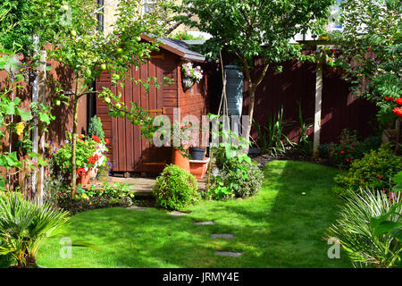 A wooden garden shed in a London back garden England UK Stock Photo