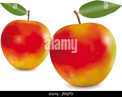 Red Apples with Green Leaves Stock Vector