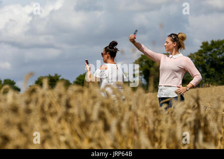 Hitchin Lavender, Cadwell Farm, Hertfordshire. UK 6 Aug 2017 - Women takes selfie in hay field on a sunny and warm August day, at Hitchin Lavender in Cadwell Farm, near Ickleford in Hertfordshire. The farm is famous for its spectacular lavender fields during the summer months, and grows lavender commercially for visitors to pick them. Credit: Dinendra Haria/Alamy Live News Stock Photo