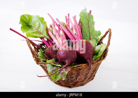 Young beetroot with a tops on a white background. Stock Photo