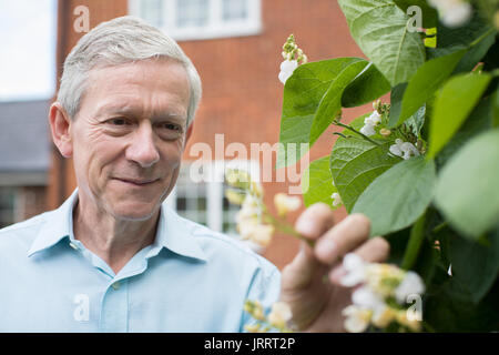 Mature Man Checking Bean Plant In Vegetable Garden Stock Photo