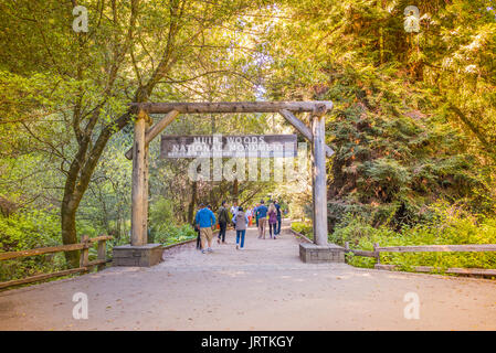 San Francisco USA - March 28, 2017 - People walking in Muir Woods entrance Stock Photo