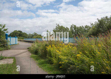 View of Ash Aqueduct on the Basingstoke Canal in Surrey, UK, in summer Stock Photo